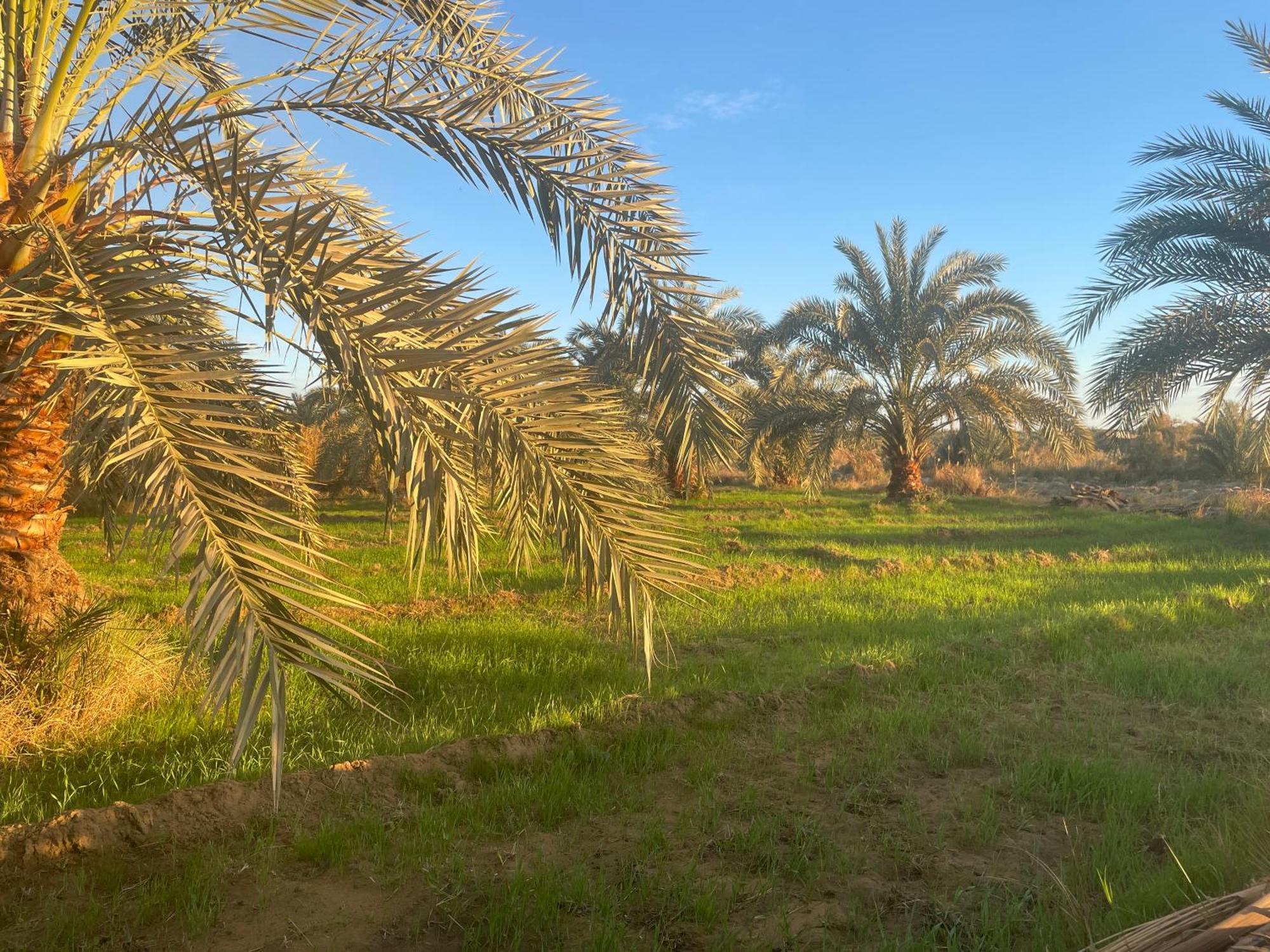 Safari Camp Bahariya Oasis Hotel Bawiti Luaran gambar