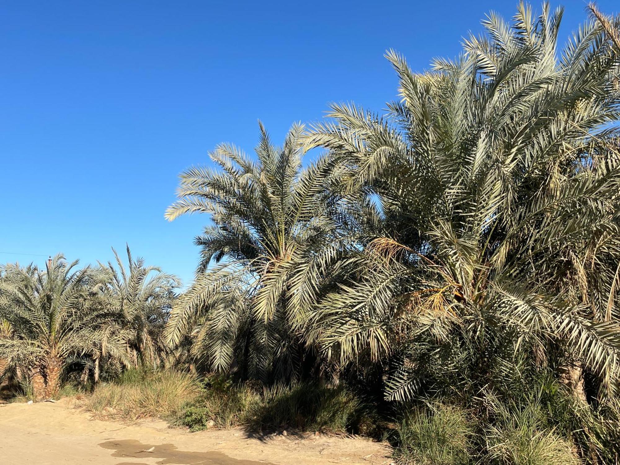 Safari Camp Bahariya Oasis Hotel Bawiti Luaran gambar