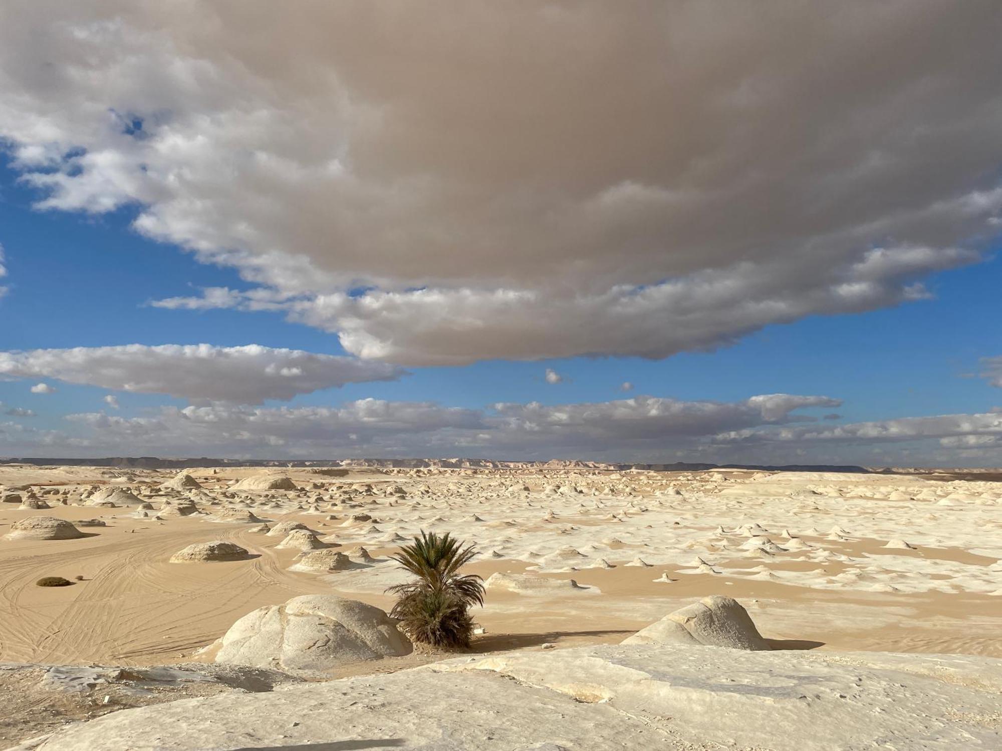 Safari Camp Bahariya Oasis Hotel Bawiti Luaran gambar